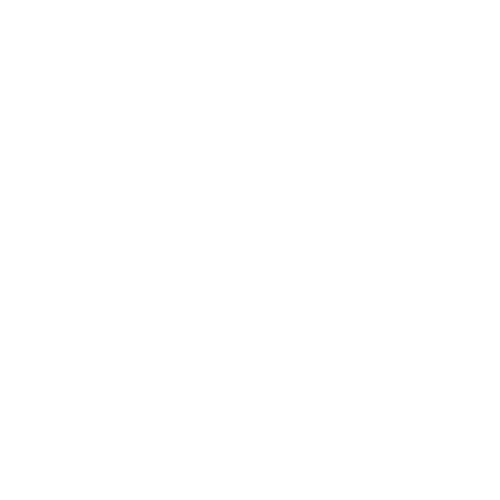 testimonial-sand-dollar