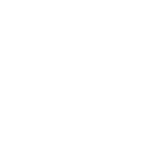 testimonial-sea-turtle